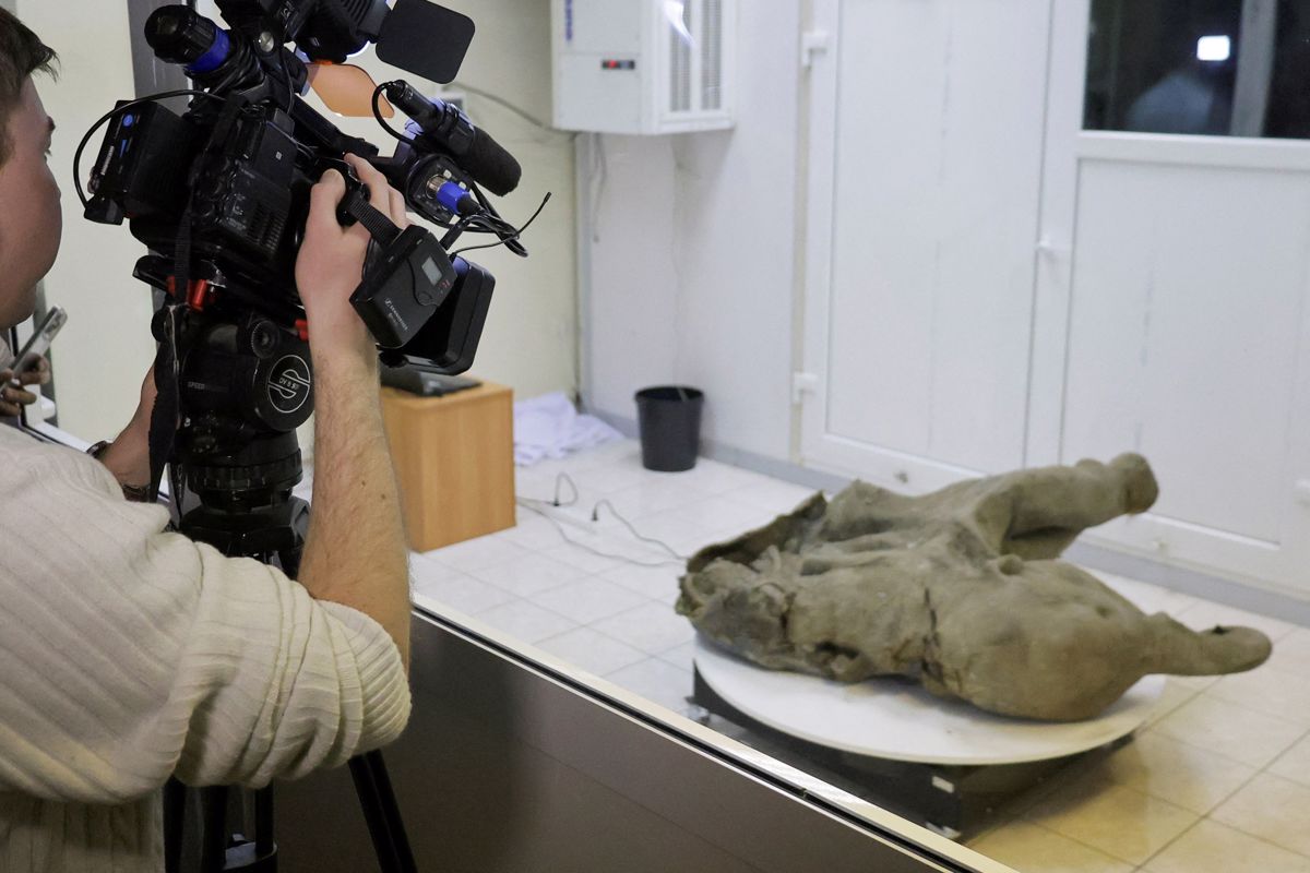 V sibirskem permafrostu našli 50 tisoč let starega mamuta