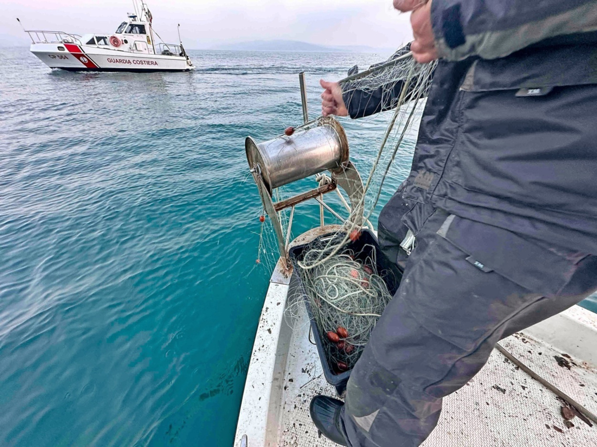 (FOTO in VIDEO) Neznanci so na črno želeli uloviti rombe in iverke, na obisk je prišla radovedna delfinka