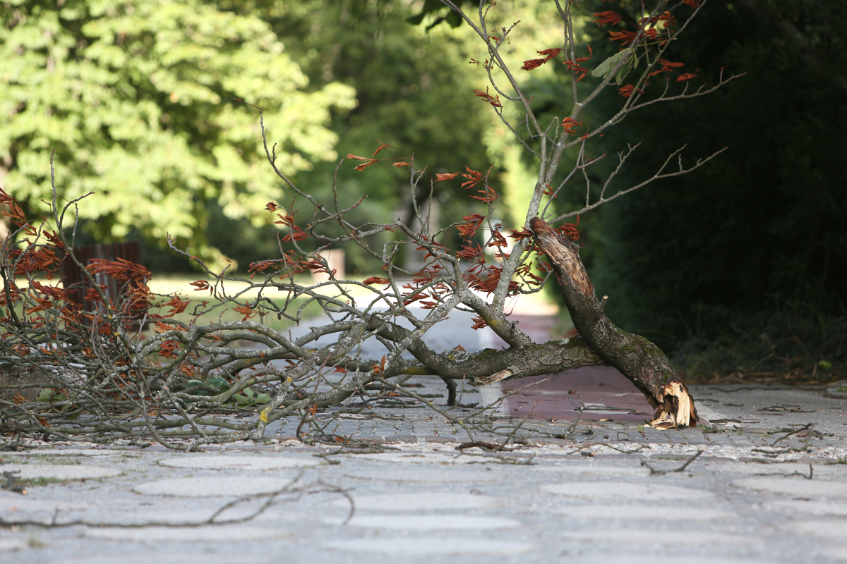 V občini Rače-Fram močan veter: "Zadržujte se v notranjih prostorih in se ne odpravljajte na sprehode v naravo"