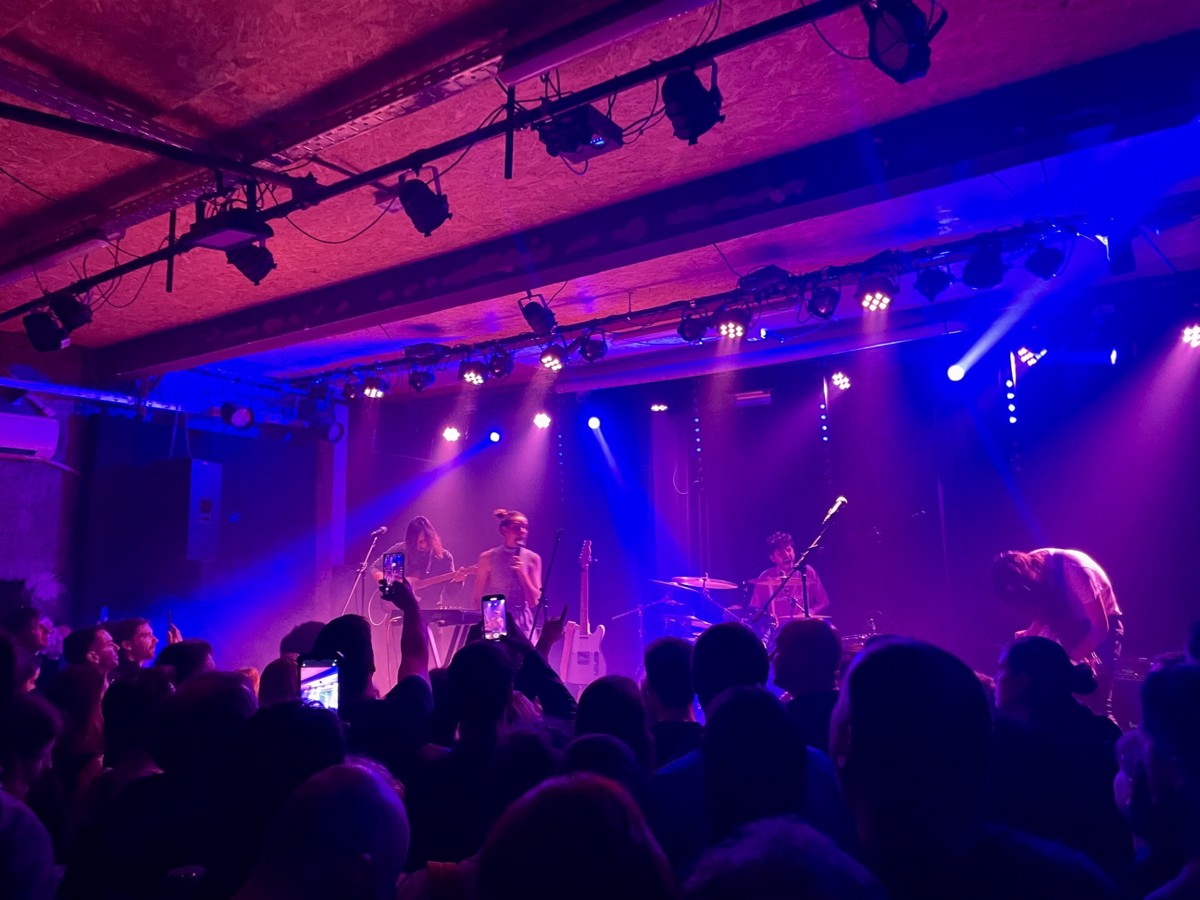 Koale so v Mariboru krasno "udomačene"