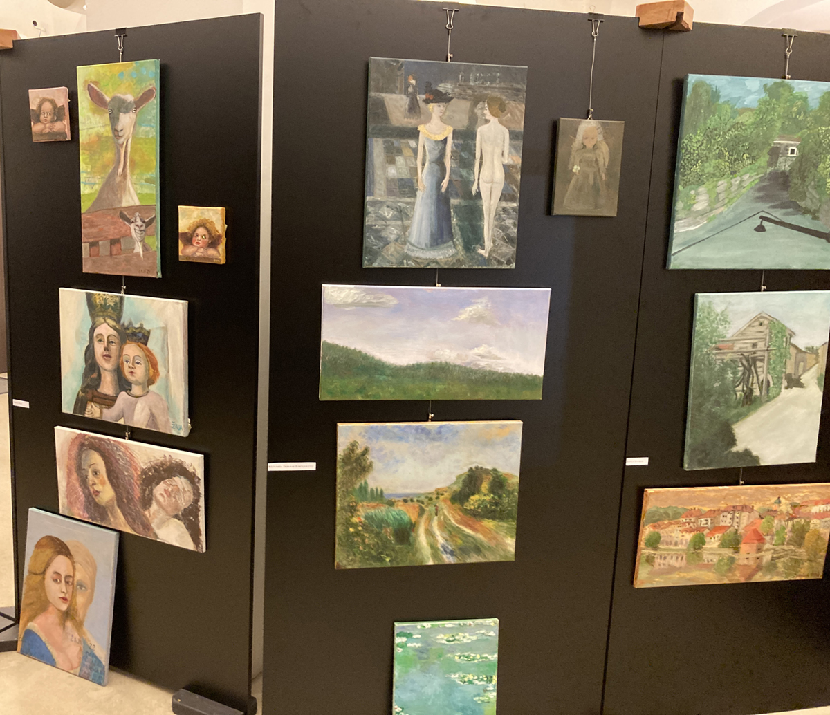 V Vetrinjskem dvoru na ogled razstava slik 36 ljubiteljskih slikarjev