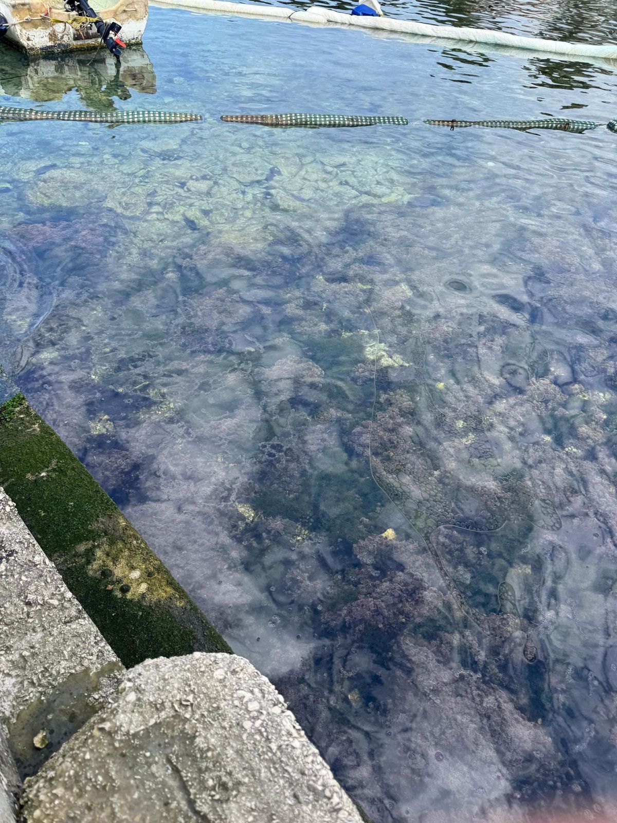 (FOTO) Ekološka nesreča na Hvaru: V morje se je izlila nafta