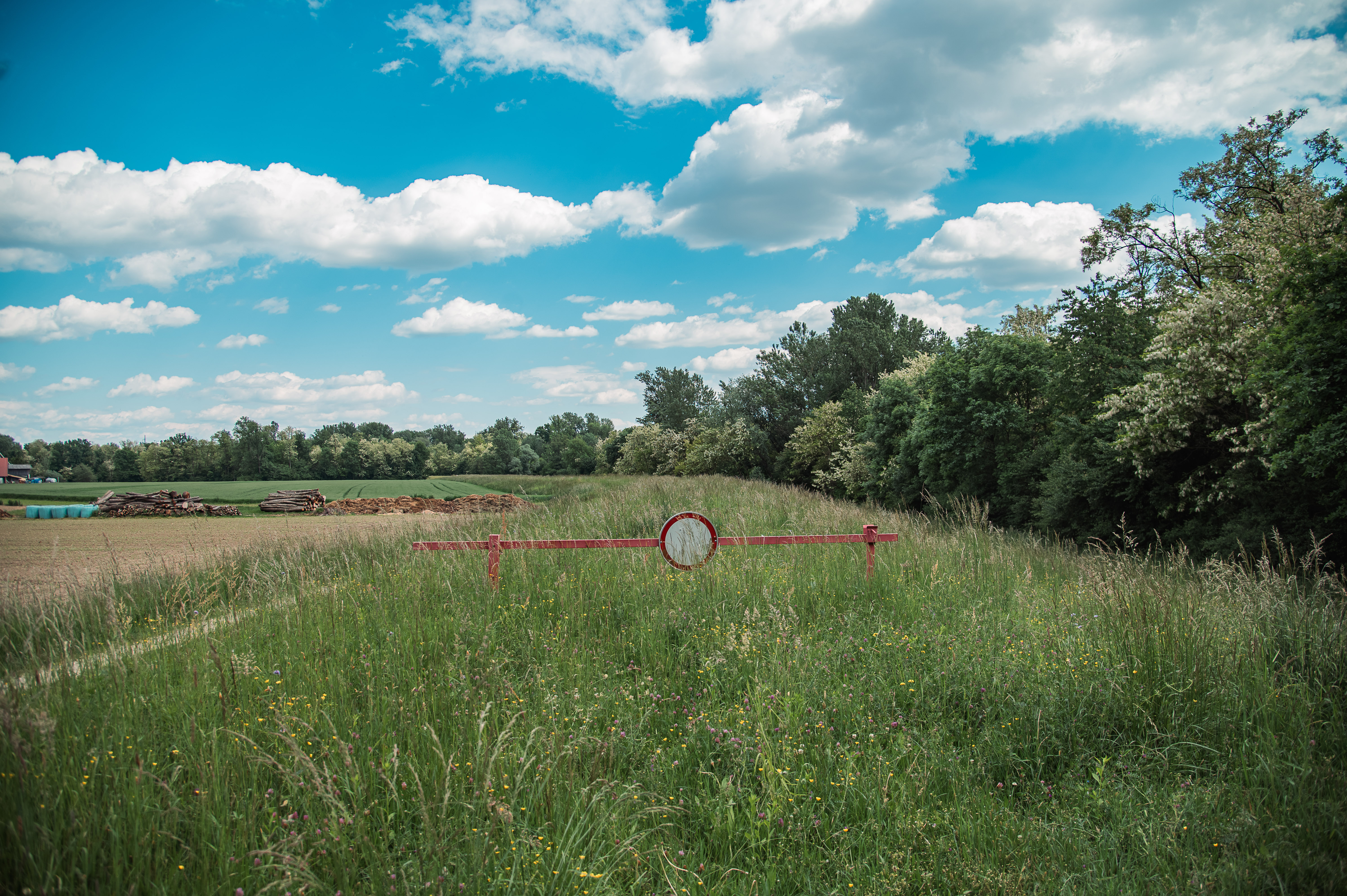 Na trasi novega nasipa med Petanjci in Krogom bi zdaj že morali brneti stroji, a jih gradbinci še niso smeli zagnati.