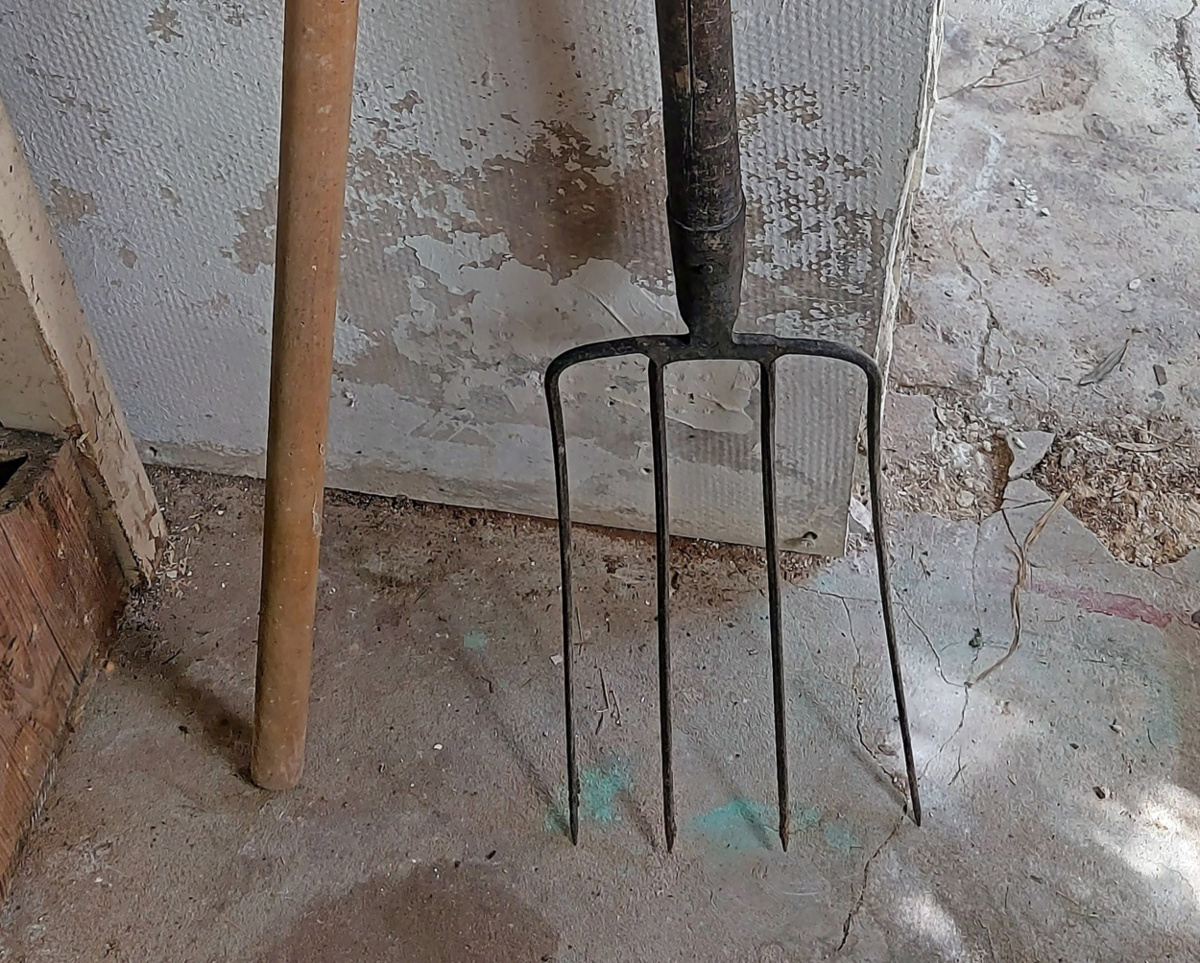 V oči naj bi mu vtikal prste, noge zvezal z verigo ... Je Bistričana zabodel z vilami?