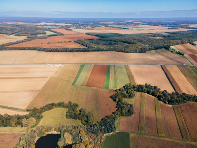 (KOMENTAR) Okoljske bučke