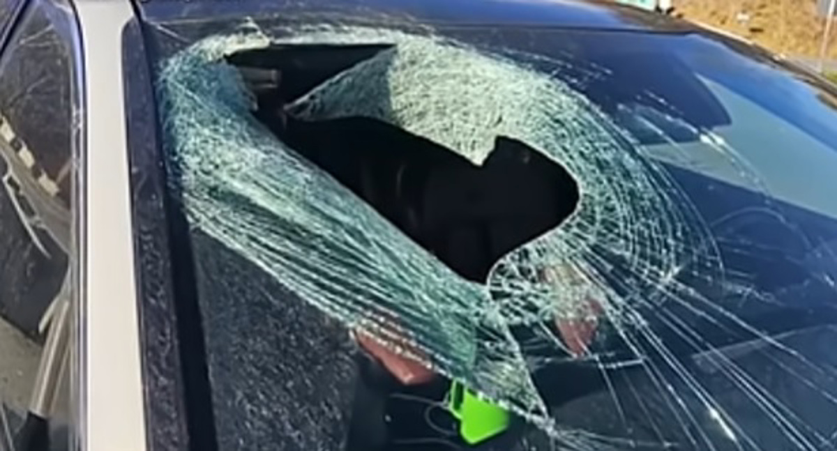 (FOTO) Nenavaden dogodek: Voznici med vožnjo skozi vetrobransko steklo priletela nepričakovana sopotnica