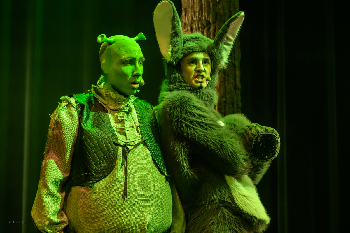 (KRITIKA MUZIKALA) Pravljična lekcija o sprejemanju drugačnosti