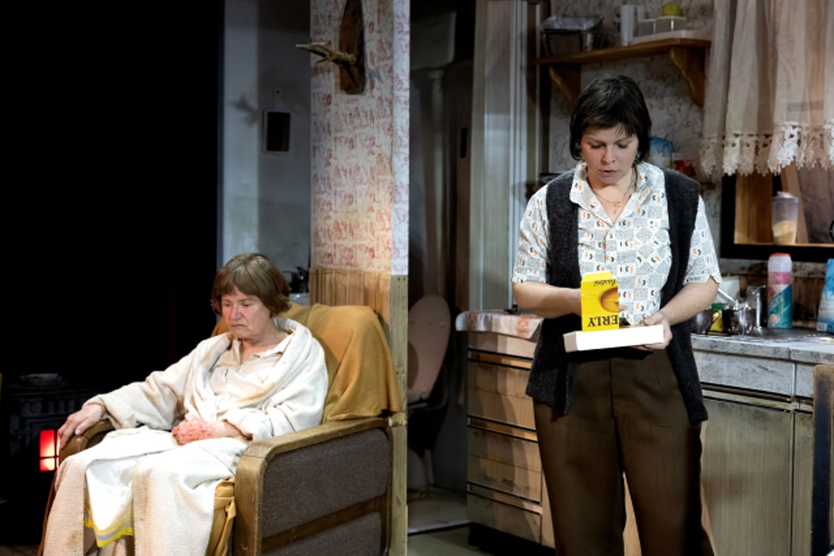 (GLEDALIŠKA KRITIKA) Instantno življenje z žmukeljni