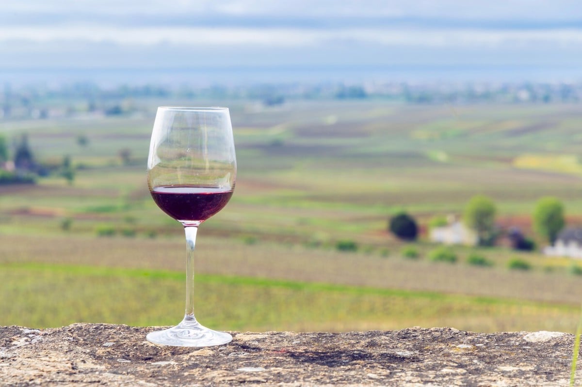 Srb ukradel steklenice redkega francoskega vina, vredne na tisoče dolarjev, in pobegnil na Dunaj, pajdašico prijeli