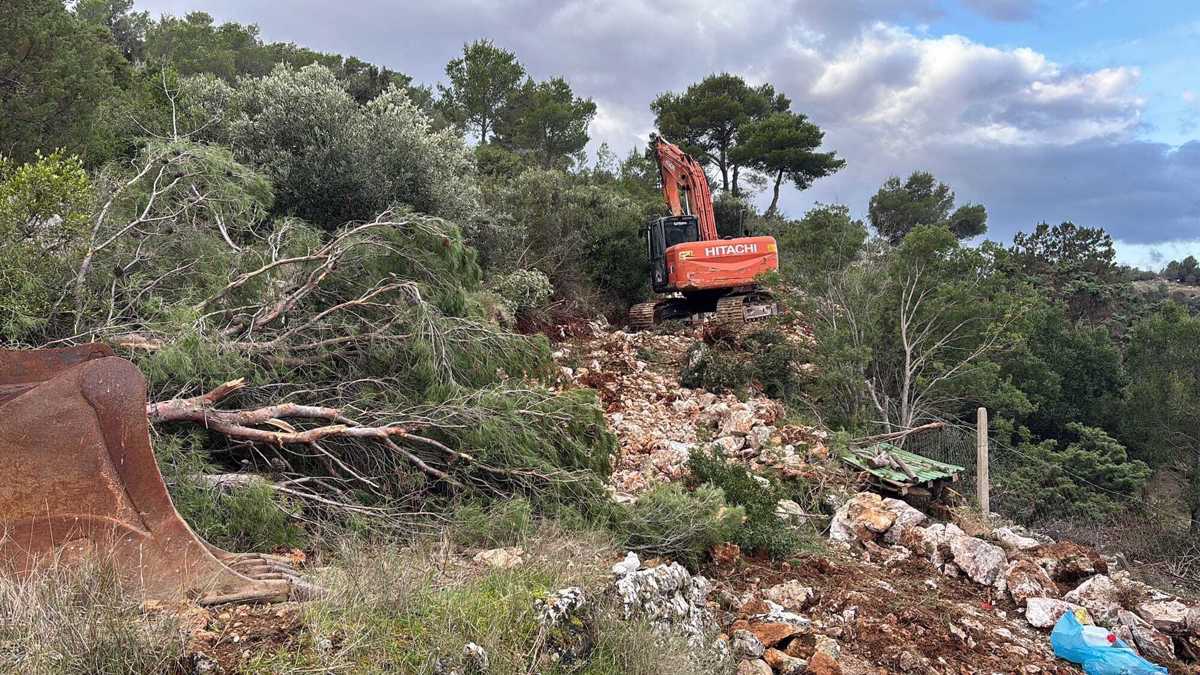 Apokalipsa na Hvaru? Otočani: "Na zaščitenem območju sekajo drevesa, rušijo stoletne zidove in uničujejo antično pot"