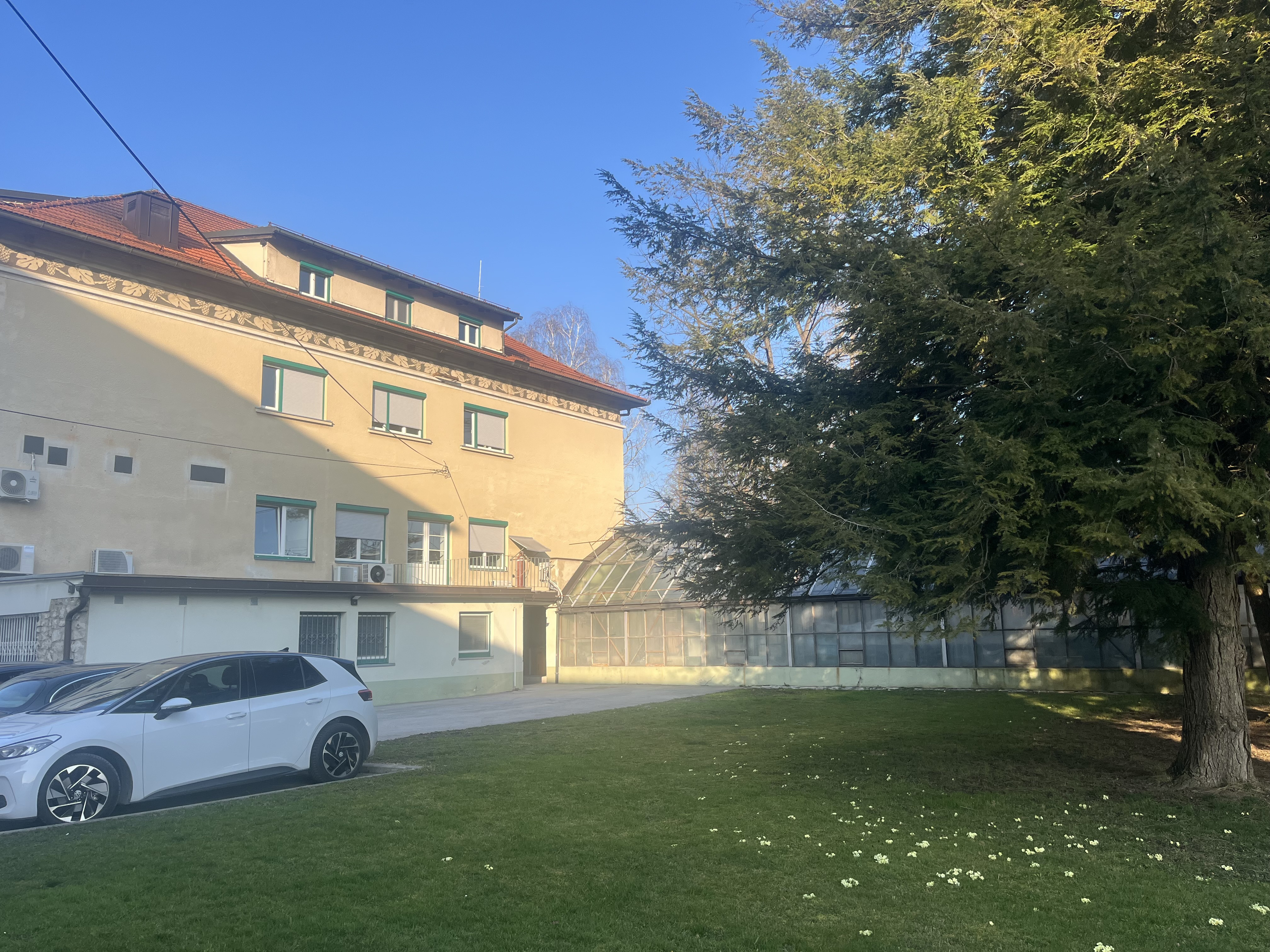 Prizidek k Inštitutu za hmeljarstvo in pivovarstvo Slovenije bo stal na mestu, kjer je danes še rastlinjak. Da bodo lahko ohranili prvo drevo, bodo objekt z dovoljenjem občine prestavili čisto na rob parcele. 