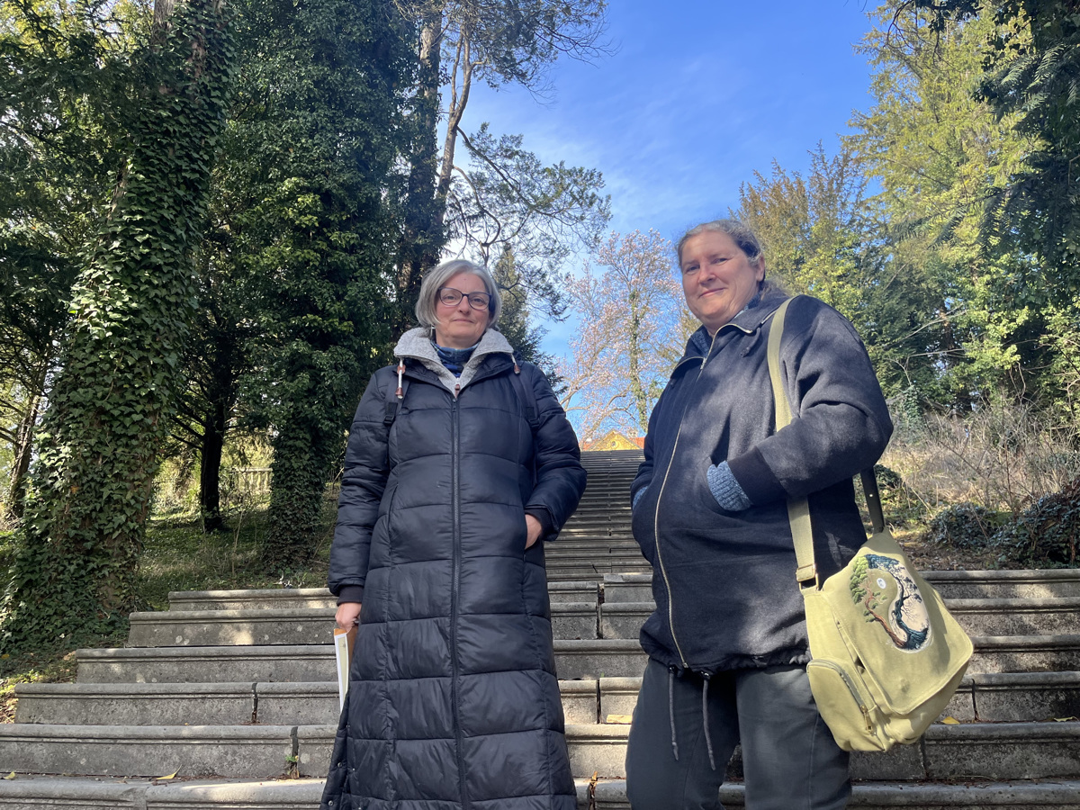 (PODNEBNE PRIČE) Le negovana mestna drevesa lahko kljubujejo podnebnim spremembam