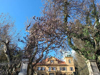Nova era šoštanjskega dvorca Gutenbuchel