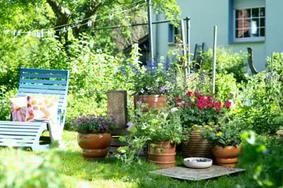 Ustvarjalni naravni vrtovi s pelargonijami