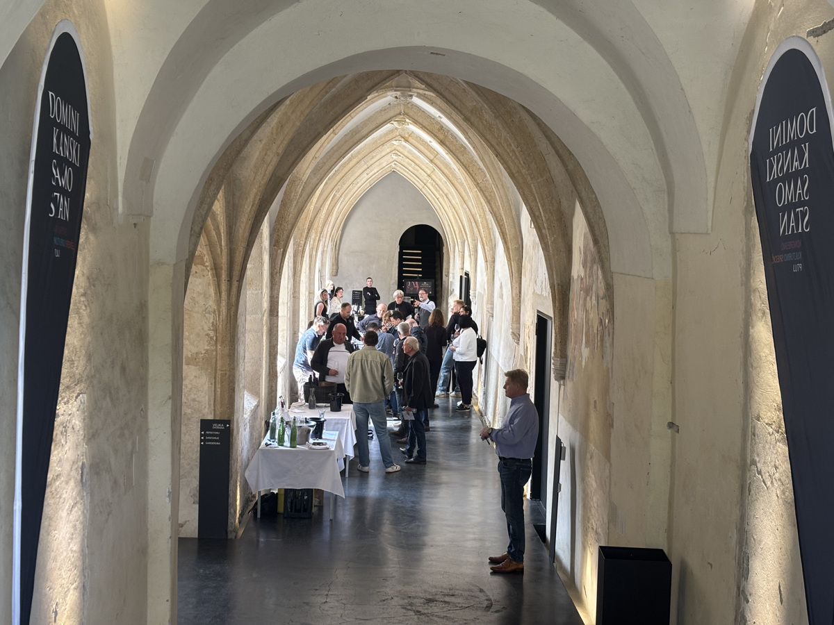 (FOTO) Festival Salon Sauvignon Ptuj: Ko vino briše meje